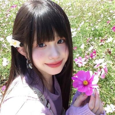 安妮日记：始末